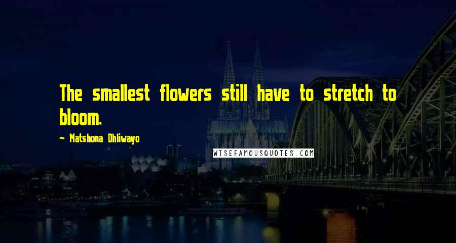 Matshona Dhliwayo Quotes: The smallest flowers still have to stretch to bloom.