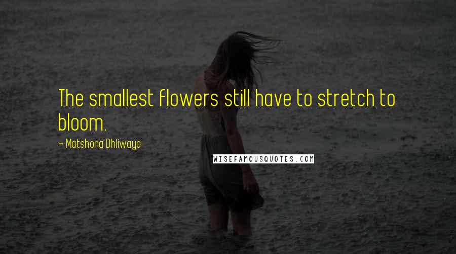 Matshona Dhliwayo Quotes: The smallest flowers still have to stretch to bloom.