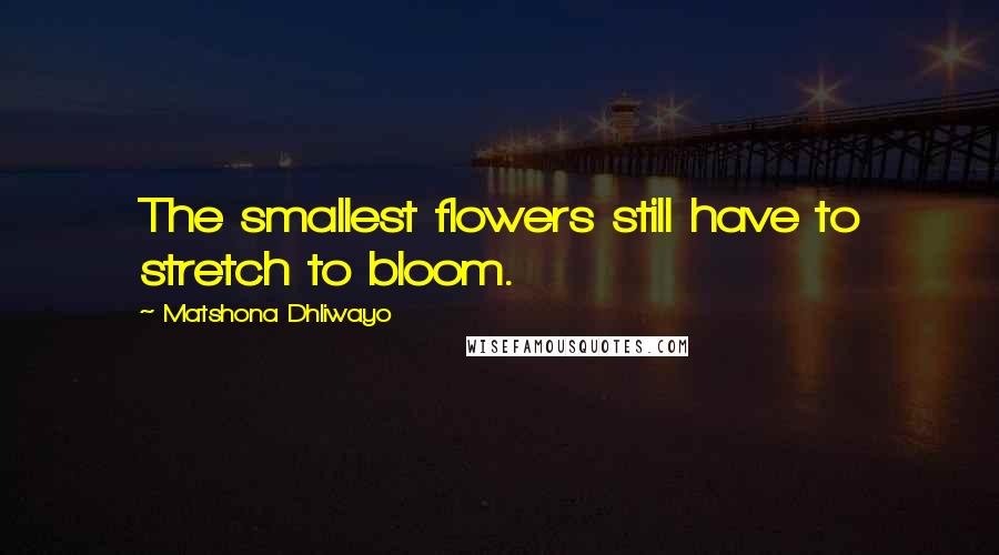 Matshona Dhliwayo Quotes: The smallest flowers still have to stretch to bloom.