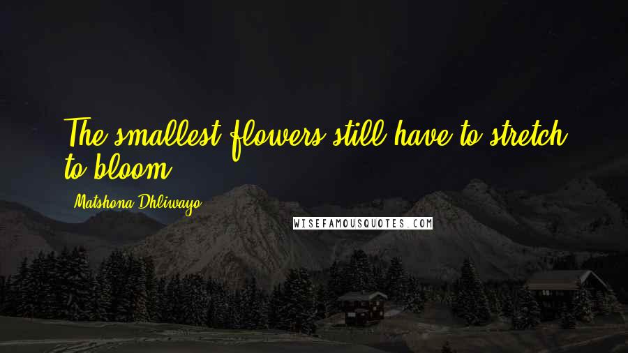 Matshona Dhliwayo Quotes: The smallest flowers still have to stretch to bloom.