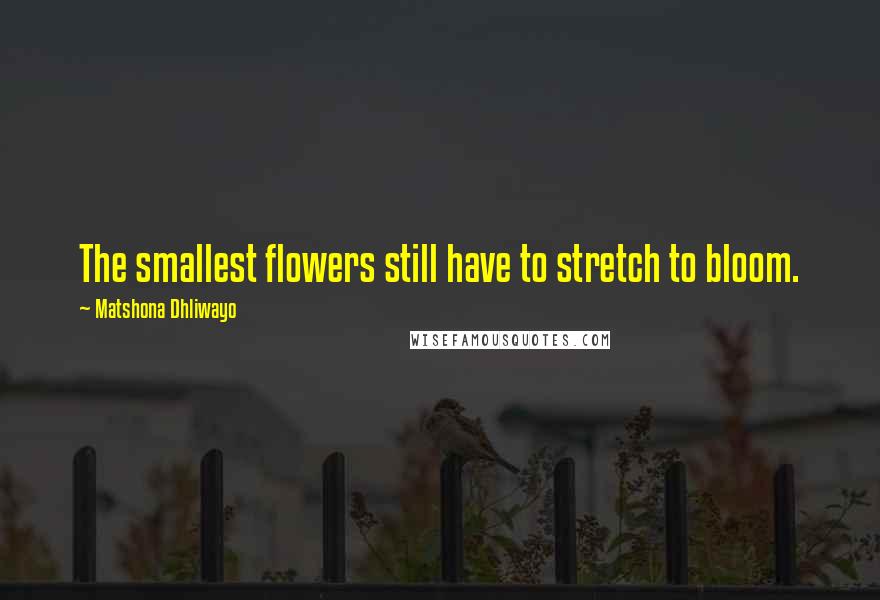 Matshona Dhliwayo Quotes: The smallest flowers still have to stretch to bloom.