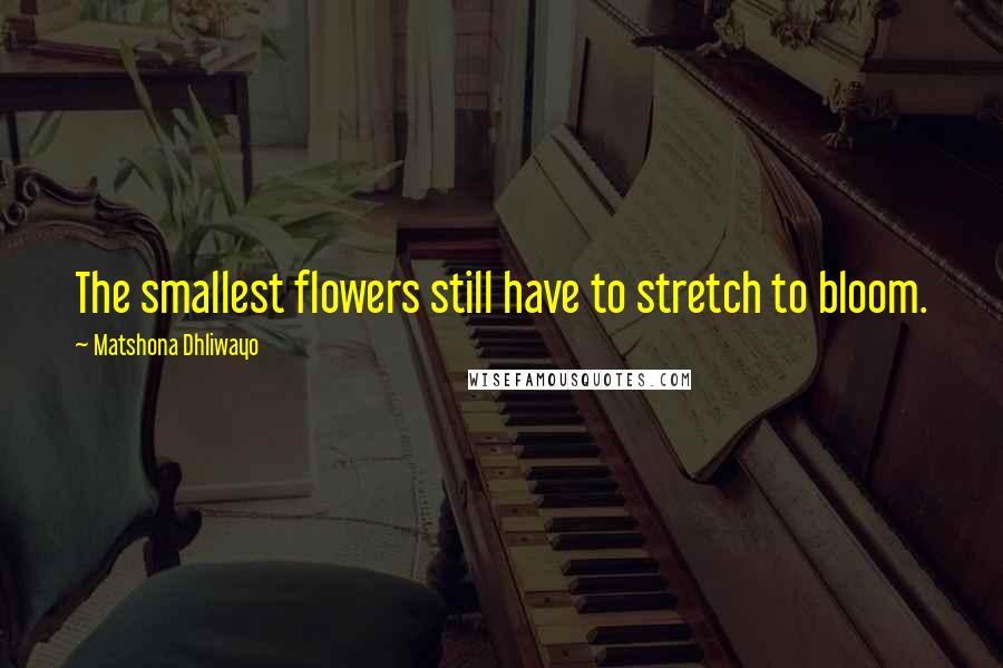 Matshona Dhliwayo Quotes: The smallest flowers still have to stretch to bloom.