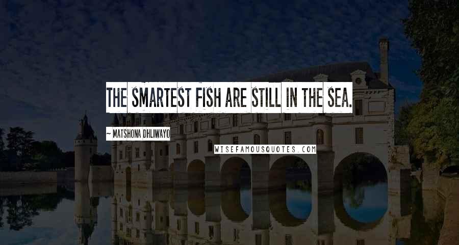 Matshona Dhliwayo Quotes: The smartest fish are still in the sea.