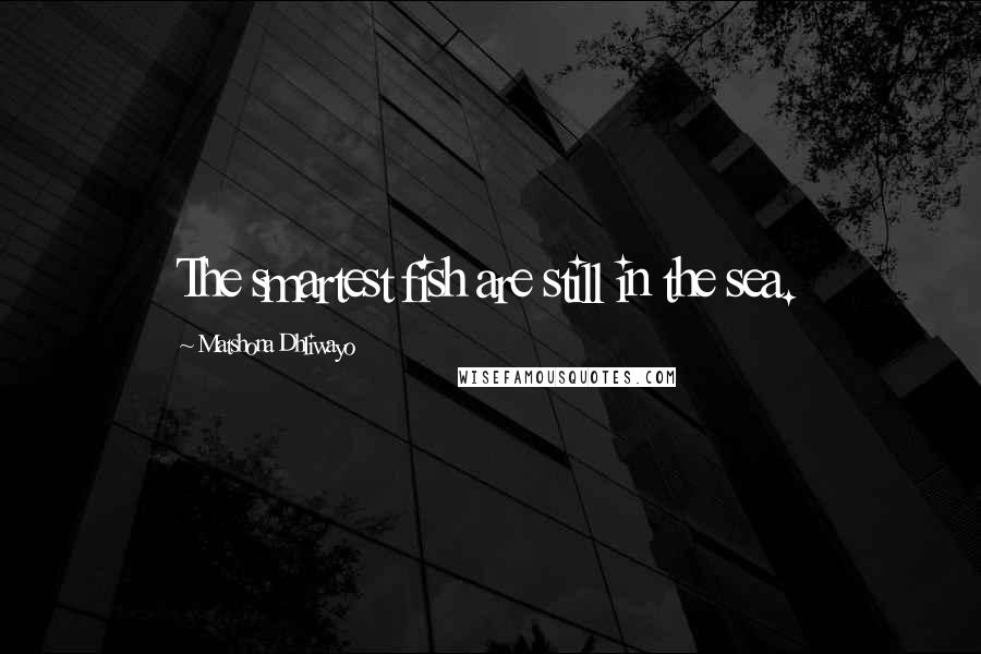 Matshona Dhliwayo Quotes: The smartest fish are still in the sea.