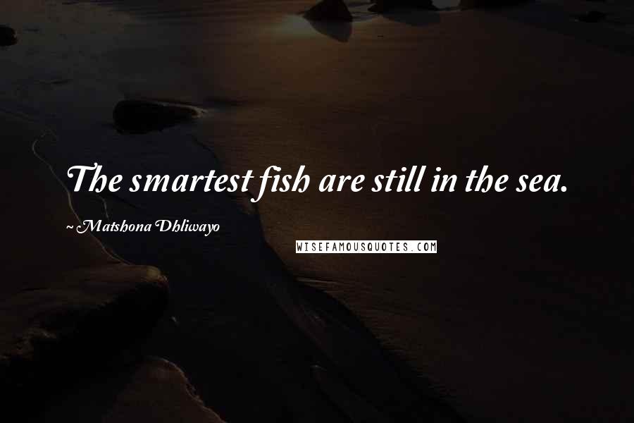 Matshona Dhliwayo Quotes: The smartest fish are still in the sea.