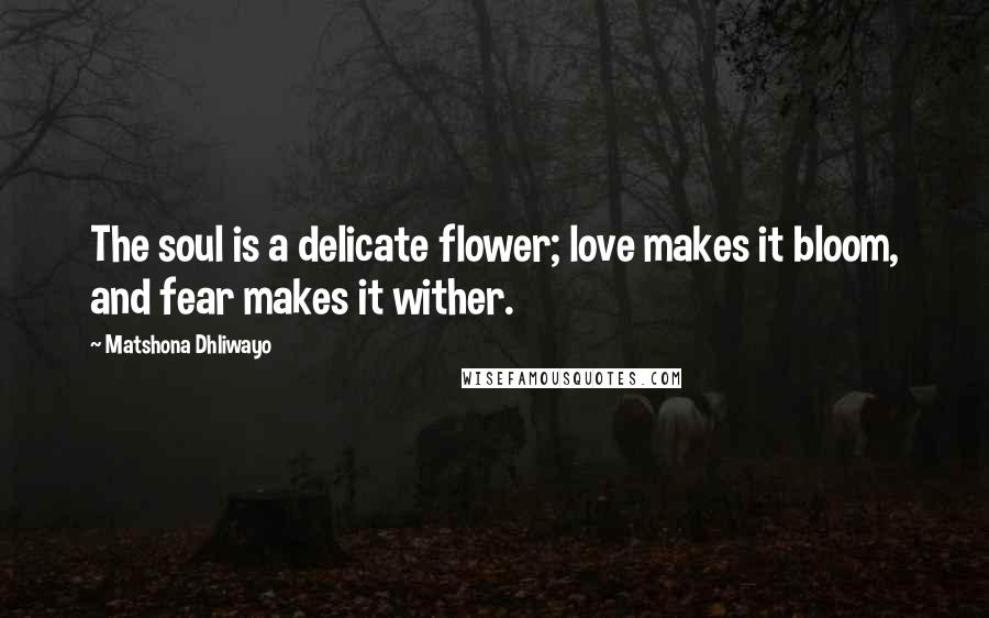 Matshona Dhliwayo Quotes: The soul is a delicate flower; love makes it bloom, and fear makes it wither.