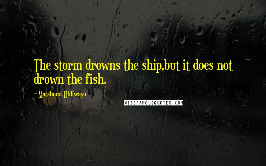 Matshona Dhliwayo Quotes: The storm drowns the ship,but it does not drown the fish.