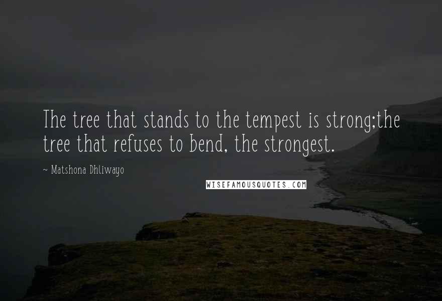 Matshona Dhliwayo Quotes: The tree that stands to the tempest is strong;the tree that refuses to bend, the strongest.