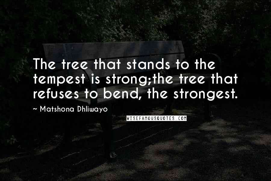 Matshona Dhliwayo Quotes: The tree that stands to the tempest is strong;the tree that refuses to bend, the strongest.