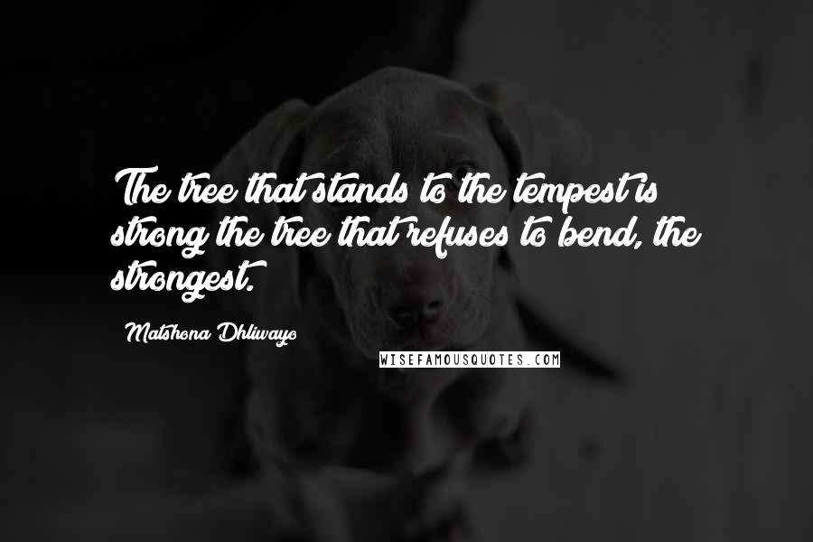 Matshona Dhliwayo Quotes: The tree that stands to the tempest is strong;the tree that refuses to bend, the strongest.