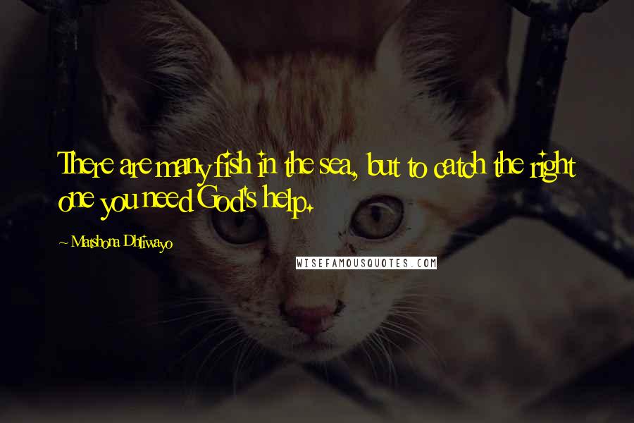 Matshona Dhliwayo Quotes: There are many fish in the sea, but to catch the right one you need God's help.