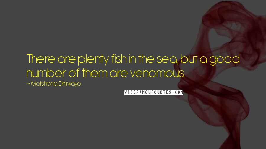 Matshona Dhliwayo Quotes: There are plenty fish in the sea, but a good number of them are venomous.