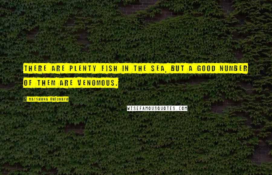 Matshona Dhliwayo Quotes: There are plenty fish in the sea, but a good number of them are venomous.
