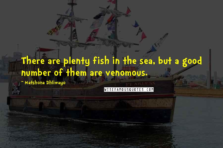 Matshona Dhliwayo Quotes: There are plenty fish in the sea, but a good number of them are venomous.