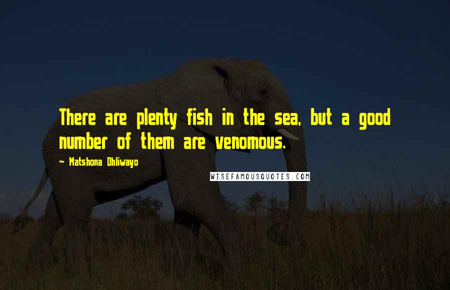 Matshona Dhliwayo Quotes: There are plenty fish in the sea, but a good number of them are venomous.