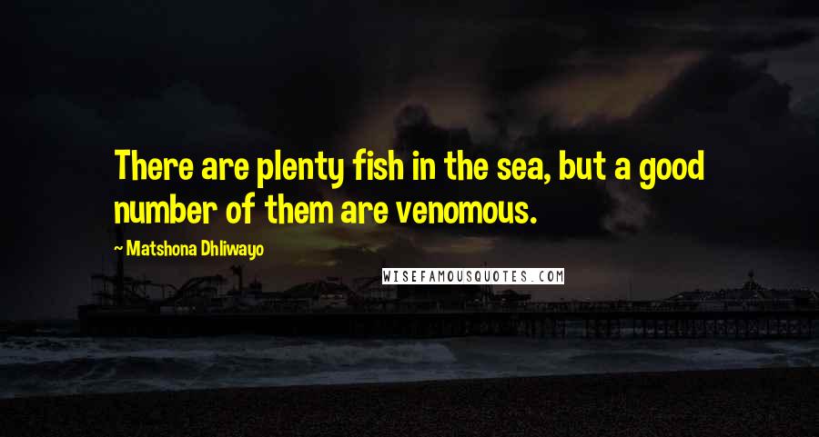 Matshona Dhliwayo Quotes: There are plenty fish in the sea, but a good number of them are venomous.