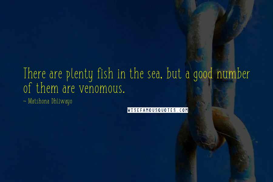 Matshona Dhliwayo Quotes: There are plenty fish in the sea, but a good number of them are venomous.