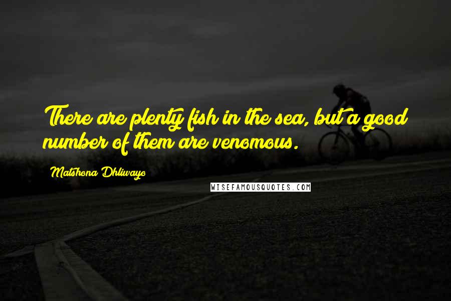 Matshona Dhliwayo Quotes: There are plenty fish in the sea, but a good number of them are venomous.
