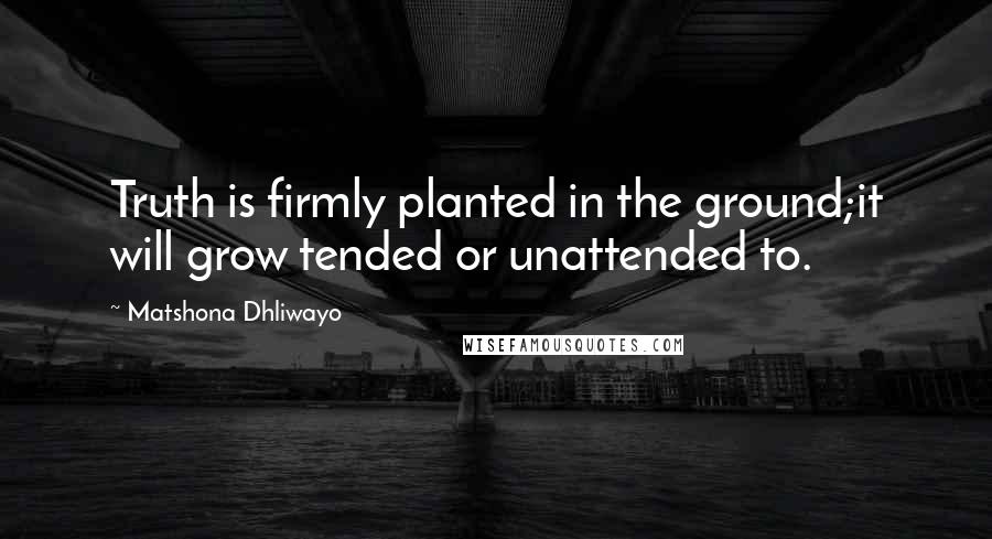 Matshona Dhliwayo Quotes: Truth is firmly planted in the ground;it will grow tended or unattended to.