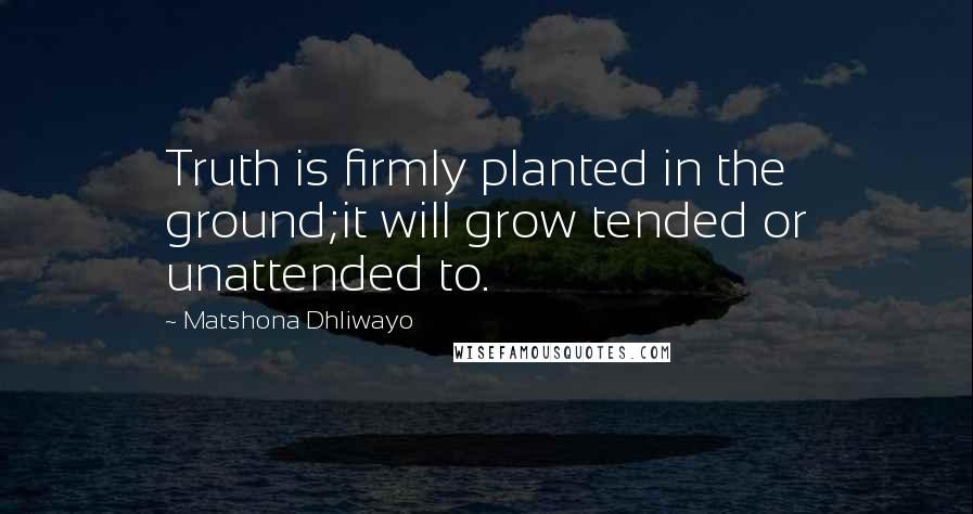 Matshona Dhliwayo Quotes: Truth is firmly planted in the ground;it will grow tended or unattended to.