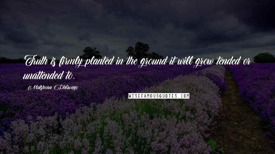 Matshona Dhliwayo Quotes: Truth is firmly planted in the ground;it will grow tended or unattended to.