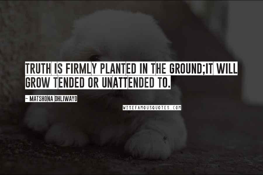 Matshona Dhliwayo Quotes: Truth is firmly planted in the ground;it will grow tended or unattended to.