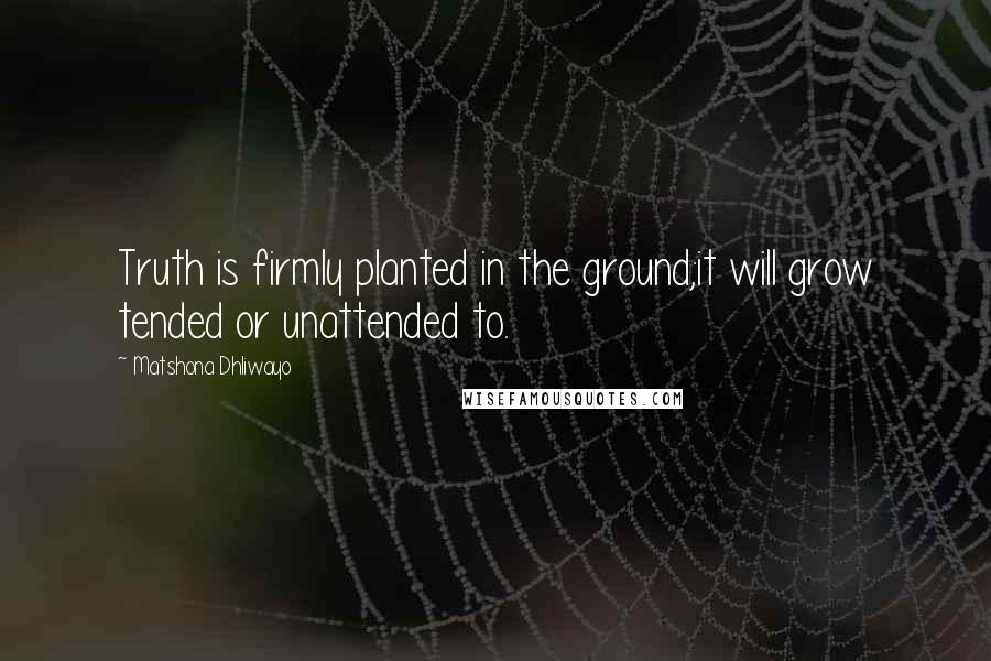 Matshona Dhliwayo Quotes: Truth is firmly planted in the ground;it will grow tended or unattended to.