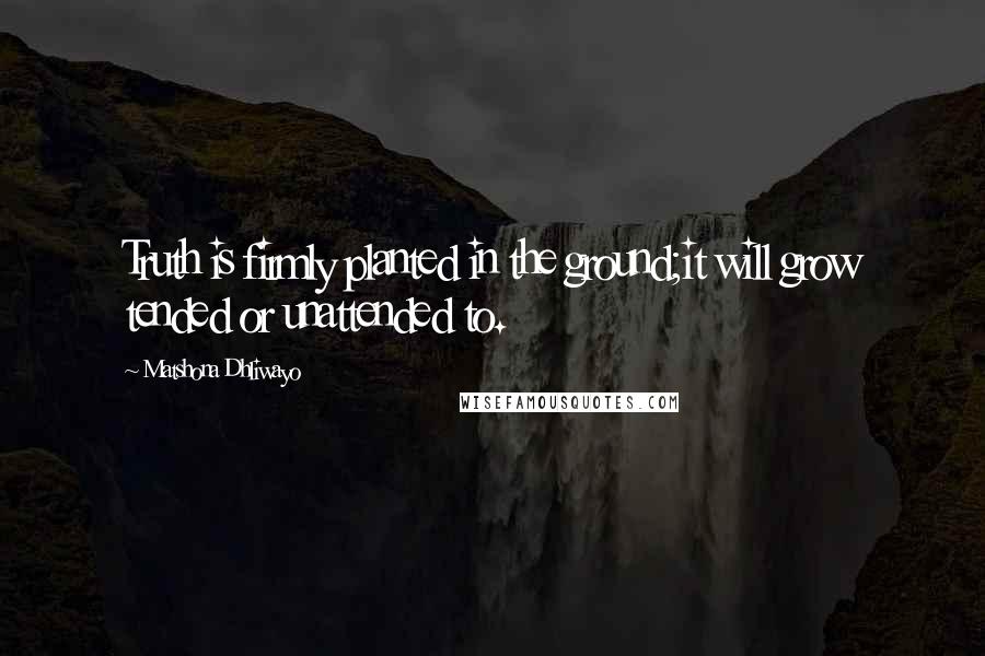 Matshona Dhliwayo Quotes: Truth is firmly planted in the ground;it will grow tended or unattended to.