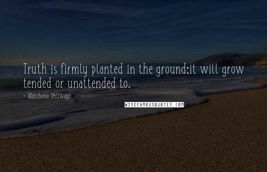 Matshona Dhliwayo Quotes: Truth is firmly planted in the ground;it will grow tended or unattended to.