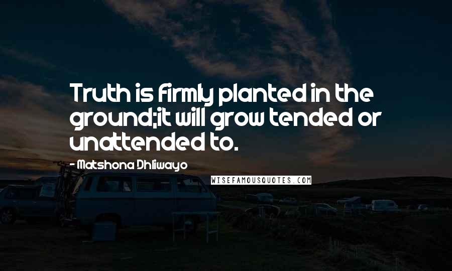 Matshona Dhliwayo Quotes: Truth is firmly planted in the ground;it will grow tended or unattended to.