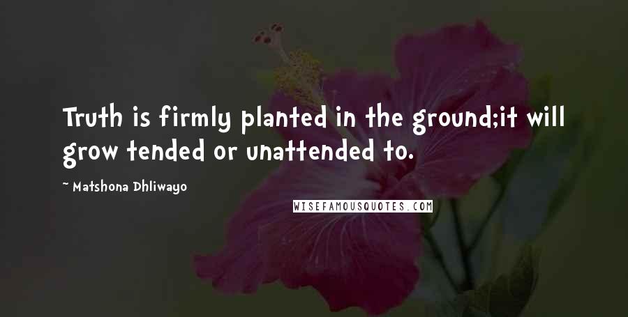 Matshona Dhliwayo Quotes: Truth is firmly planted in the ground;it will grow tended or unattended to.