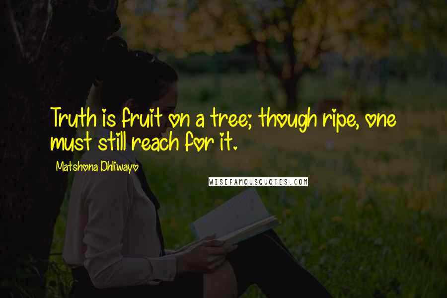 Matshona Dhliwayo Quotes: Truth is fruit on a tree; though ripe, one must still reach for it.