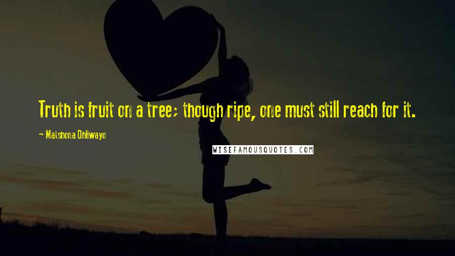 Matshona Dhliwayo Quotes: Truth is fruit on a tree; though ripe, one must still reach for it.