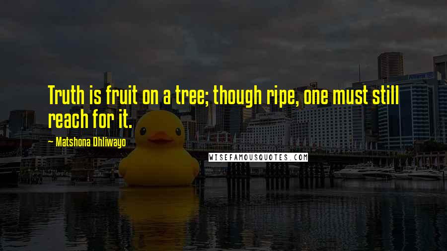 Matshona Dhliwayo Quotes: Truth is fruit on a tree; though ripe, one must still reach for it.