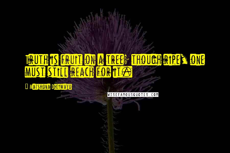 Matshona Dhliwayo Quotes: Truth is fruit on a tree; though ripe, one must still reach for it.