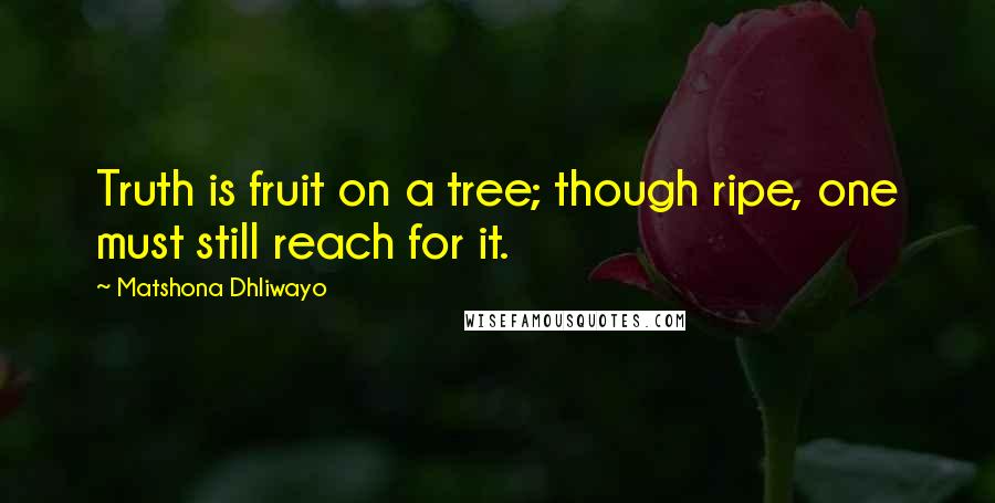 Matshona Dhliwayo Quotes: Truth is fruit on a tree; though ripe, one must still reach for it.