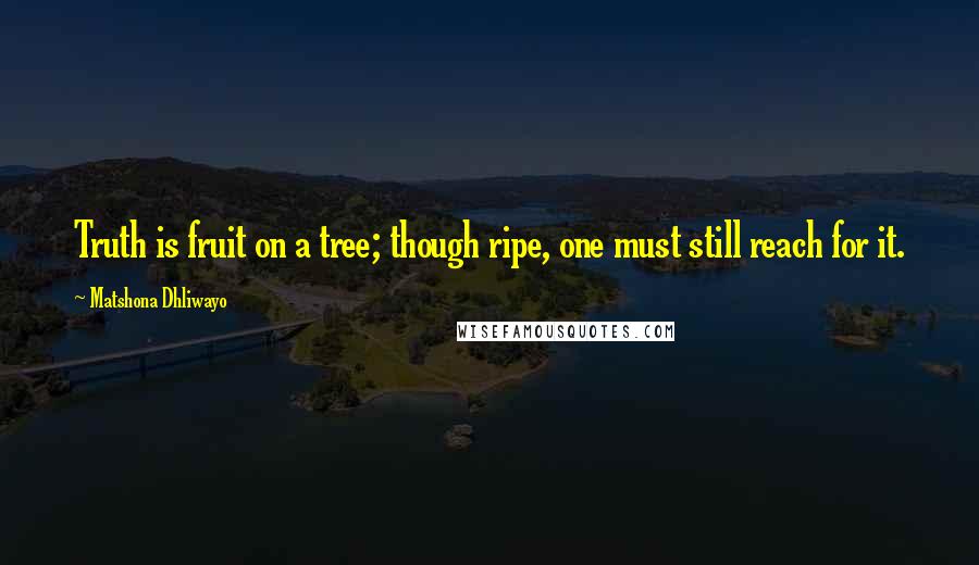 Matshona Dhliwayo Quotes: Truth is fruit on a tree; though ripe, one must still reach for it.