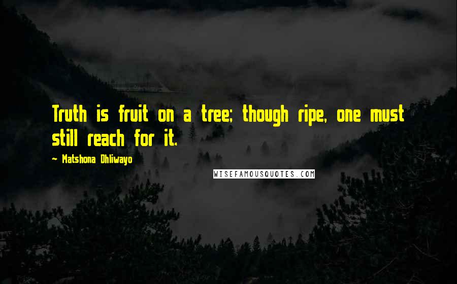 Matshona Dhliwayo Quotes: Truth is fruit on a tree; though ripe, one must still reach for it.