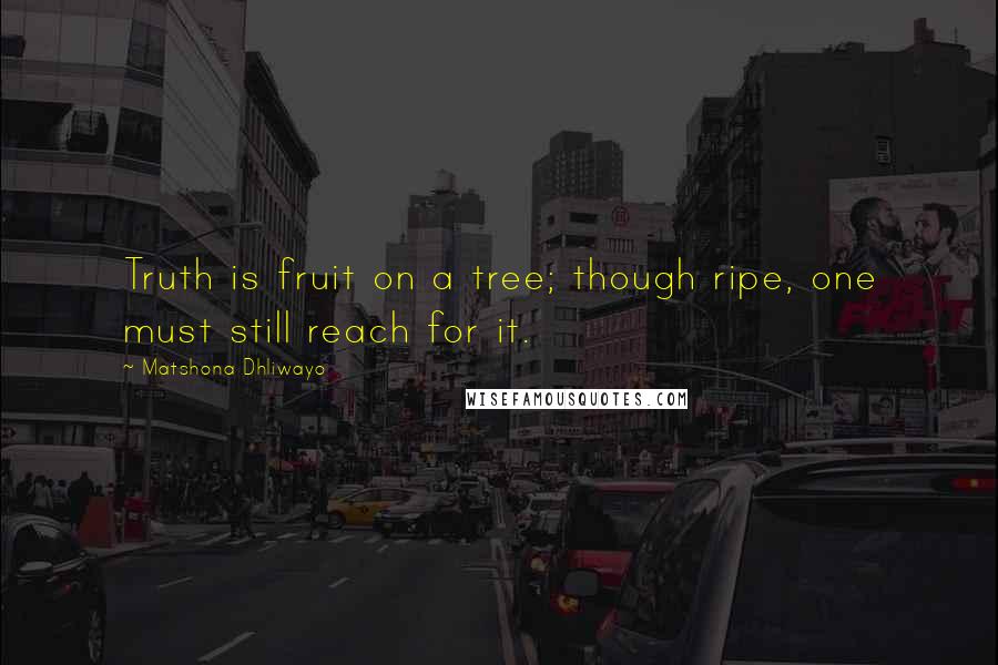 Matshona Dhliwayo Quotes: Truth is fruit on a tree; though ripe, one must still reach for it.