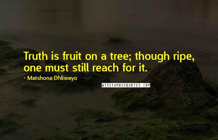 Matshona Dhliwayo Quotes: Truth is fruit on a tree; though ripe, one must still reach for it.