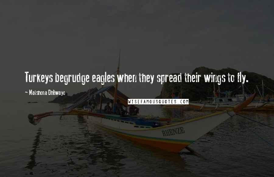 Matshona Dhliwayo Quotes: Turkeys begrudge eagles when they spread their wings to fly.