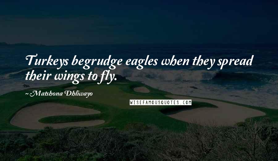 Matshona Dhliwayo Quotes: Turkeys begrudge eagles when they spread their wings to fly.