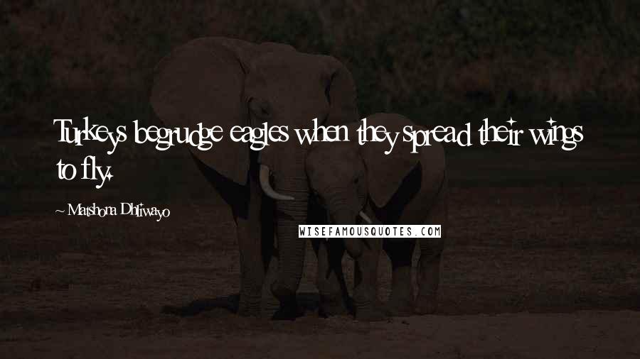 Matshona Dhliwayo Quotes: Turkeys begrudge eagles when they spread their wings to fly.