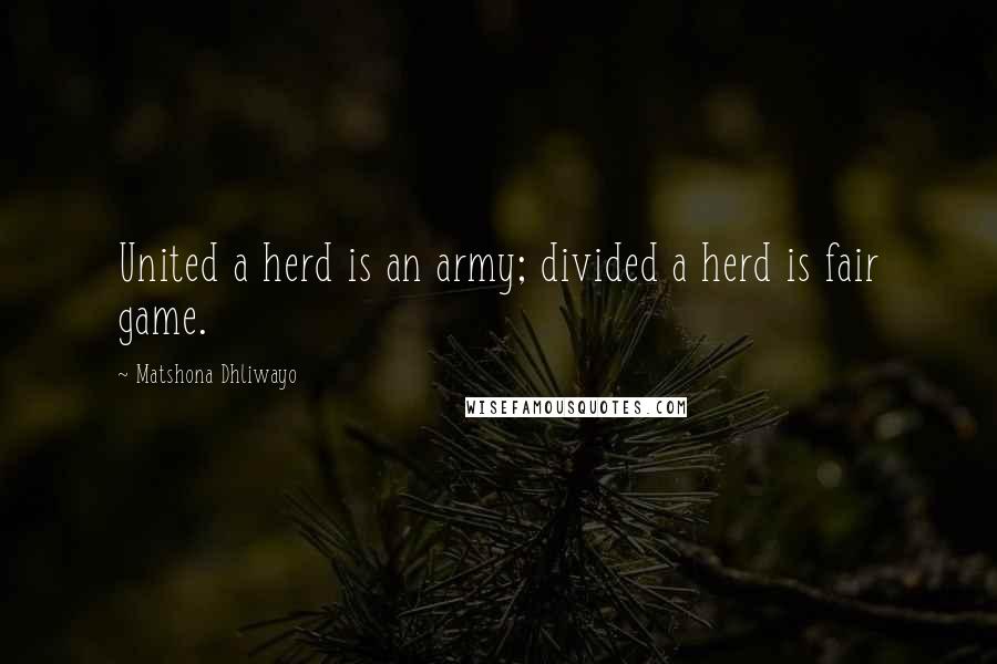 Matshona Dhliwayo Quotes: United a herd is an army; divided a herd is fair game.