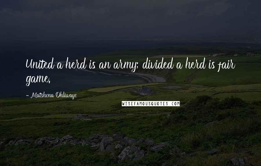 Matshona Dhliwayo Quotes: United a herd is an army; divided a herd is fair game.