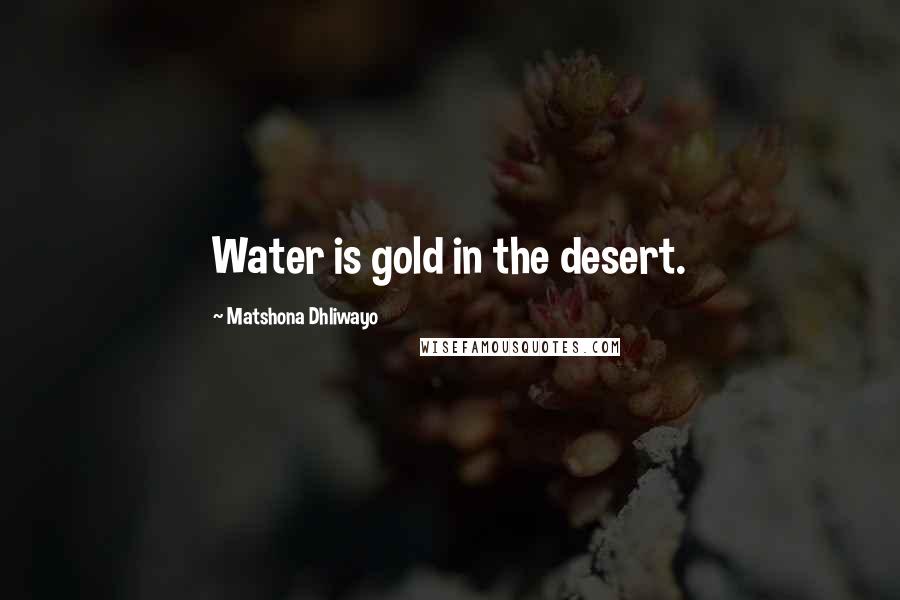 Matshona Dhliwayo Quotes: Water is gold in the desert.