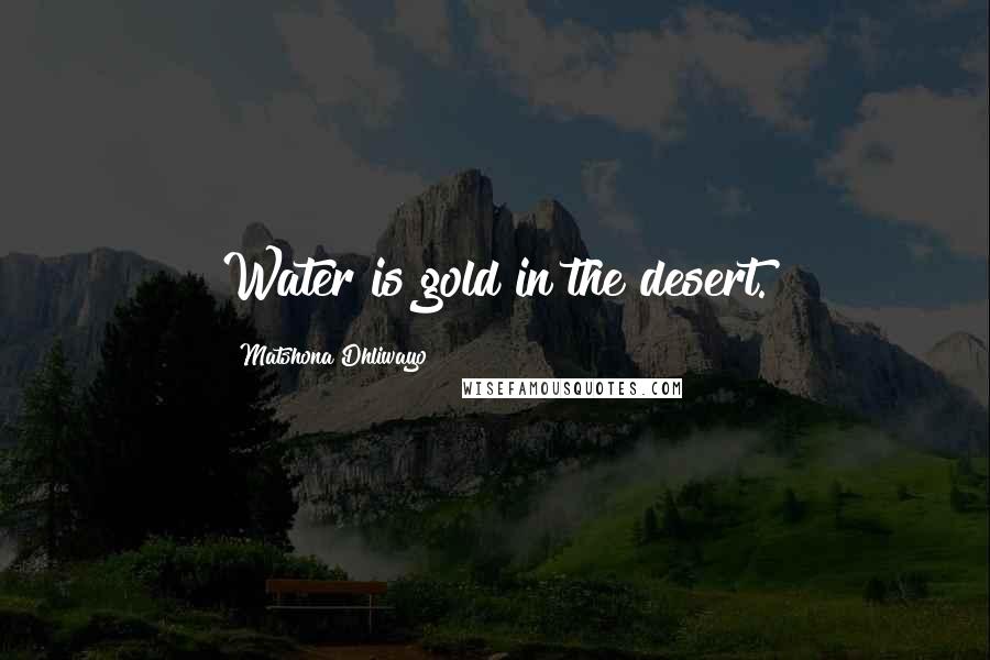Matshona Dhliwayo Quotes: Water is gold in the desert.