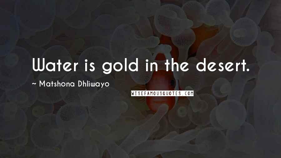 Matshona Dhliwayo Quotes: Water is gold in the desert.