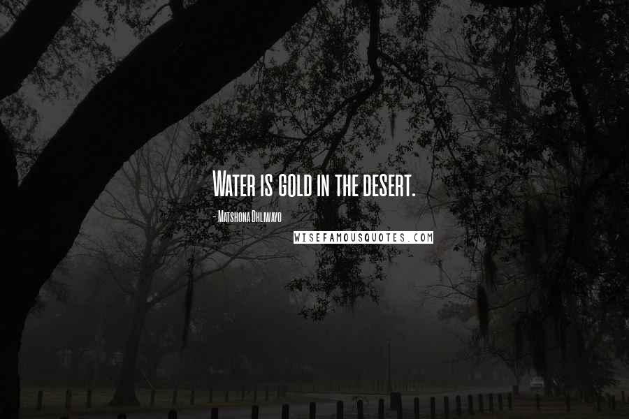 Matshona Dhliwayo Quotes: Water is gold in the desert.