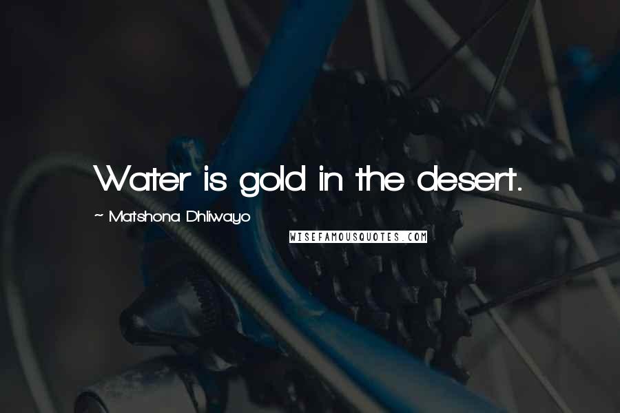 Matshona Dhliwayo Quotes: Water is gold in the desert.